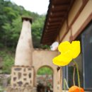 신대2리 이미지