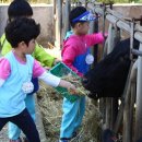 청원목장 이미지