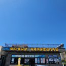 씨유거제지세포점 | [거제도여행] 거제가볼만한곳 지세포관광유람선, 외도 후기
