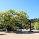 대장경테마파크 이미지