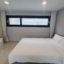 플레이독애견카페 이미지