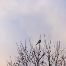 대우상사 이미지