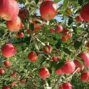 매현농장 이미지