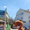 남산초 앞 이미지