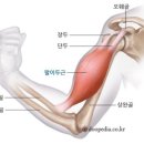 바디퍼포먼스 짐 이미지
