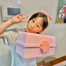 아이방 대용량 소품 주얼리 액세서리 보관함 다담다 수납정리