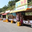 (구)국도37호선 이미지