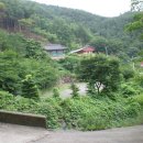 맑은산장농원 이미지