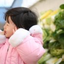 배추값 파동은 왜곡된 돈의 욕망