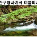 강원도 원주 가볼만한곳 8월 치악산국립공원 구룡사 계곡 비로봉 등산코스 이미지