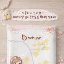 개나리세탁 이미지