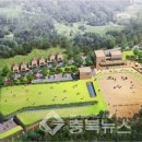 중원대학교 공공승마장 이미지