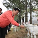 산영농장 이미지