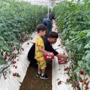 부여 서울농장 이미지