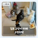 하늘주택관리 - 남양주시 천마산로12번길 25-28 | 김포 고양이 카페 가볼만한 곳 | 구래동 놀거리로도 좋은 고영주택 후기