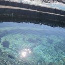 그여름애월바다 이미지