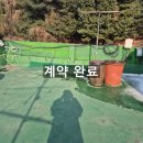 중앙동272 이미지