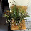 카페네이비 이미지