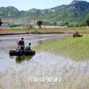 덕흥농장 이미지