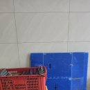 들성로-5 이미지