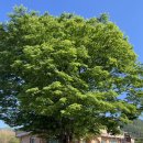 부암마을회관 이미지