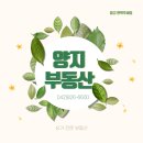 노은역공인중개사사무소 이미지