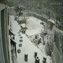 돌트미스테이 이미지