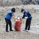 보령경찰서 이미지