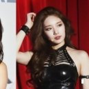 비비헤어라인
