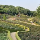 장미원내부 화장실 이미지