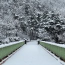 2026년1월 강릉 솔향수목원&amp;경포대 정기산행(2026년1월13일 화요일) 이미지