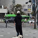 봄: 쏘다닌 기록