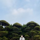 소나무정원 | 충남&amp;전북 1박 2일 핫플여행_논산, 익산, 완주