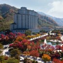 GS25엘리시안강촌 이미지