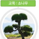 훈민초등학교 이미지