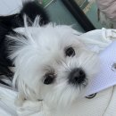 수원-1470 | 퍼스널 컬러 진단받은 후기 🎨(컬러를 채우다, 수원)