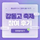 강동고등학교 네이버블로그