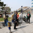 낙동강 벚꽃 30리 이미지