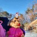 헤세드동물병원 이미지