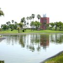 골프아이(360) 이미지