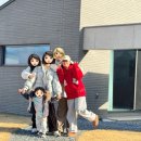 스테이 경화 이미지