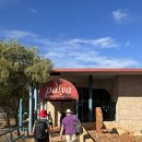 샵호텔/SHARP HOTEL | 호주 울룰루 자유여행 가성비 숙소 더 로스트 카멜 호텔 The Lost Camel Hotel 강추