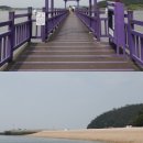 ㈜퍼플오션 | 안전하고 낭만 가득한 전남 섬 여행지, 어디가 좋을까?