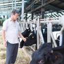 온새미로 이미지