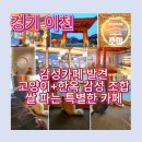 호야, 내아이 | 이천 카페 호야 내돈내산 후기｜이천 신둔 카페에서 만난 한옥 감성과 하얀 고양이-이천 쌀 판매