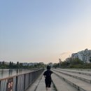 예스라이프