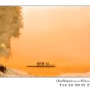 송화강 - 전주시 덕진구 심방죽로 83 | 송화강