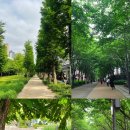 1박2일 한강걷기 버킷리스트🏃🏽‍♀️ [경의선숲길•망원동즉석우동•삼각지맛집•한강코스]