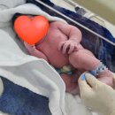 다나병원 | 둘째 제왕절개 출산 후기｜새벽 진통, 태변, 대학병원 전원까지 (청주 다나여성병원)