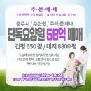 에이치엔씨컨설팅 이미지